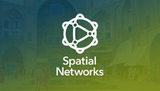 Spatial Networks