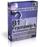 B1Framework