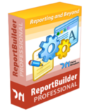 ReportBuilder Professional